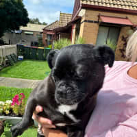 Photo of Christopher 