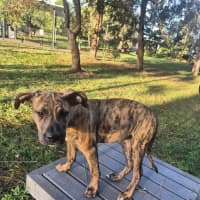 Photo of Adeline 