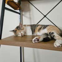 Photo of Matilda
