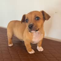 Photo of Crystal & Echo