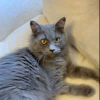 Photo of Savannah
