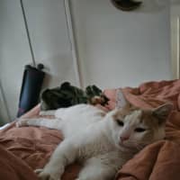 Photo of Rudolf 