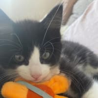 Photo of Bear Sanderson