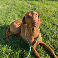 Photo of Maya