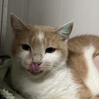 Photo of Briar