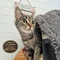 Photo of Tinker Bell! 🧚