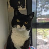Photo of Wednesday