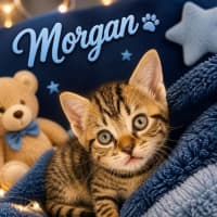 Photo of Morgan