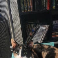 Photo of Nova