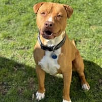 Photo of Duke