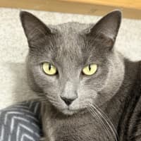 Photo of Norbert