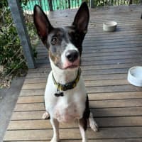 Photo of Tess