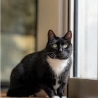 Photo of Cyril
