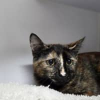 Photo of Deja