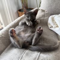 Photo of Greta