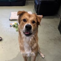 Photo of Twix