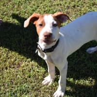 Photo of Ares