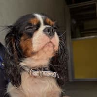 Photo of Nikita