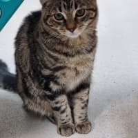 Photo of Fizz