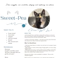 Photo of Sweet Pea