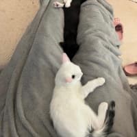 Photo of Carl