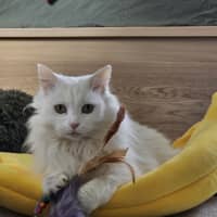 Photo of Olivia