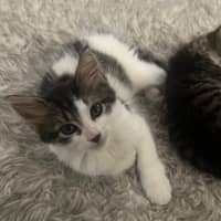 Photo of Audrey 💕