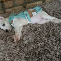 Photo of Nessa