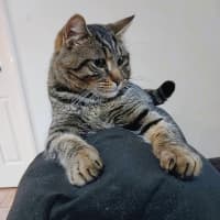 Photo of Bendy