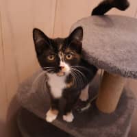 Photo of Lydia