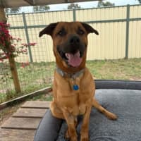 Photo of Biggie Paws