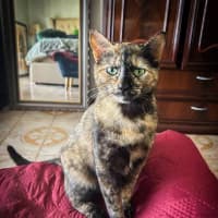 Photo of Marceline