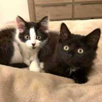 Photo of 💜 Winnie 💜