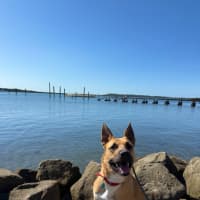 Photo of Happy 