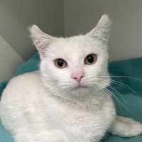 Photo of Tippy