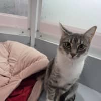 Photo of Diana   Loves Affection