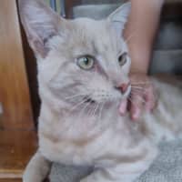 Photo of Max Meet Me@Petstock Hastings Store