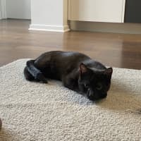 Photo of Juni