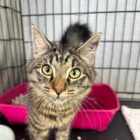 Photo of Salami & Pepperoni 