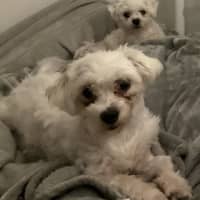 Photo of Rory & Lorie