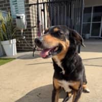 Photo of Molly 