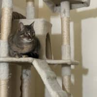 Photo of Aster Uffelman