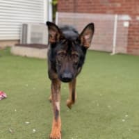 Photo of Bruce
