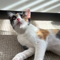 Photo of Marceline