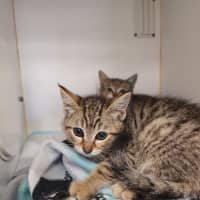 Photo of Dennis And Timmy