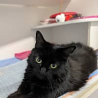 Photo of Babs (Missy)