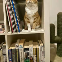 Photo of Mia