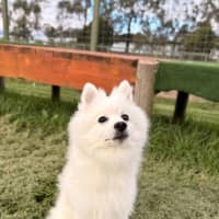 Photo of Yuki
