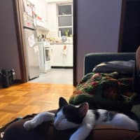 Photo of Benny