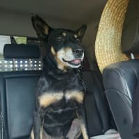 Photo of Bud